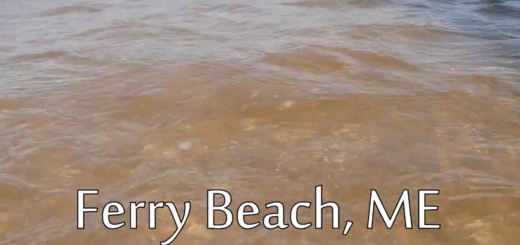 Ferry Beach cover
