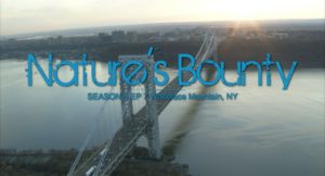 Nature's Bounty cover art - aerial view of the George Washington Bridge.