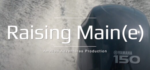 Raising Main(e) title cover image